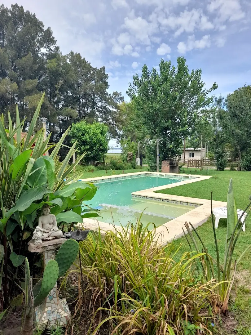 La pileta entre plantas, con un buda de piedra y los árboles del parque.